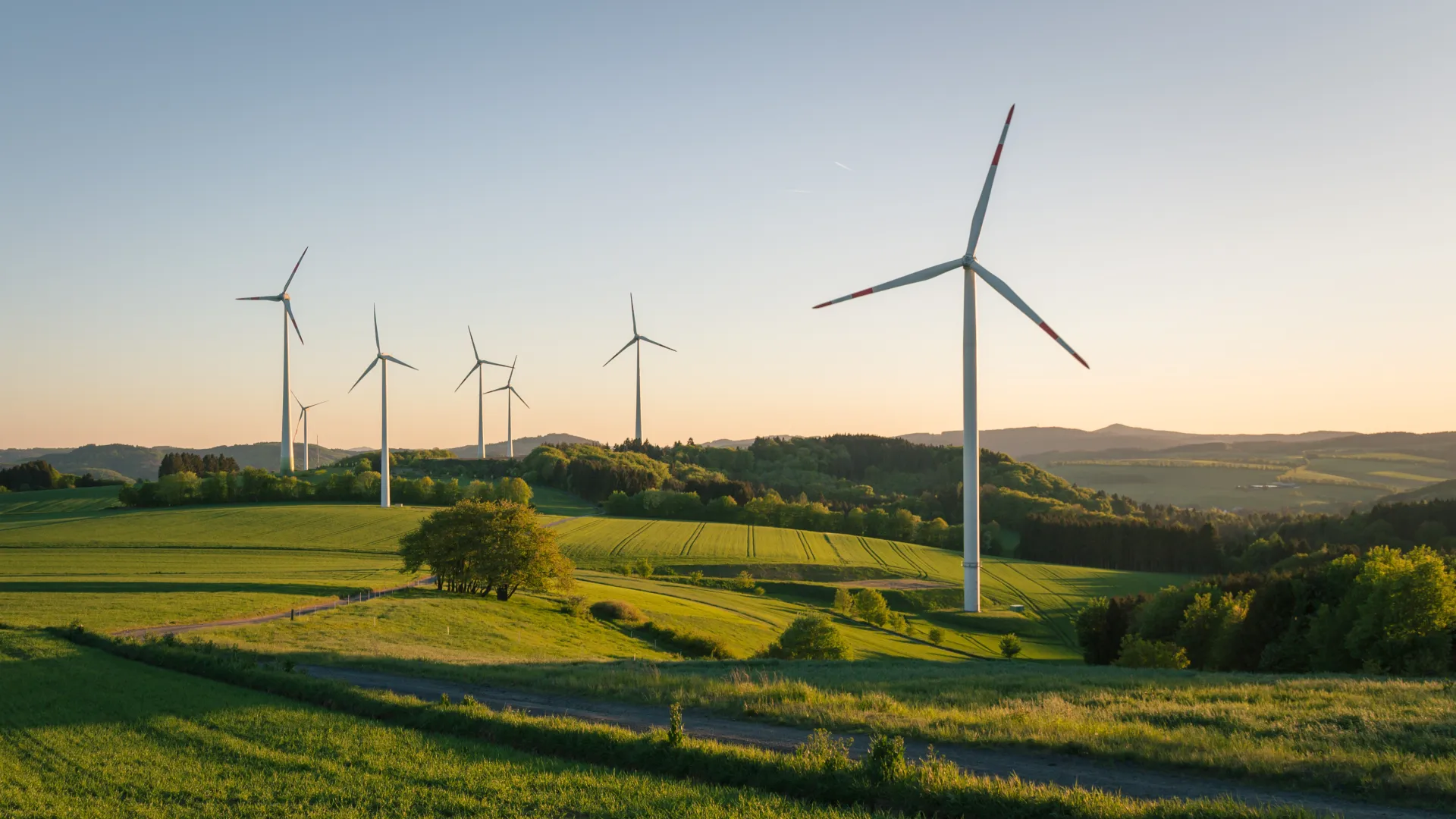 Windräder auf dem Feld